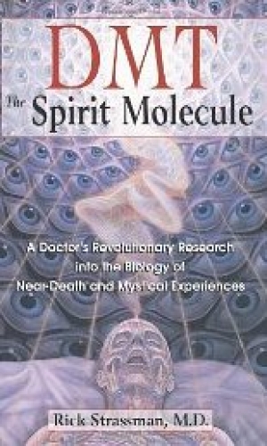 DMT: The Spirit Molecule: A Doctor's Revolutionary Research into the Biology of Near-Death and Mystical Experiences by Rick Strassman M.D. (2000)
