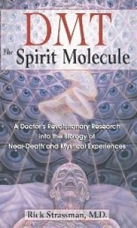DMT: The Spirit Molecule: A Doctor&#039;s Revolutionary Research into the Biology of Near-Death and Mystical Experiences by Rick Strassman M.D. (2000)